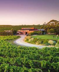 Panoramic View of McLaren Vale Vineyard and Winery